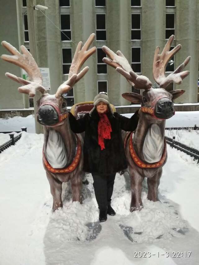 Гостиница Лапландия Мончегорск-124